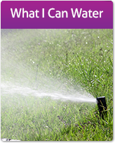 What I Can Water Graphic Button