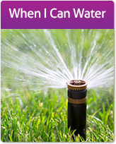 When I Can Water Graphic Button