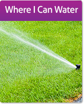 Where I Can Water Graphic Button