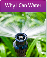 Why I Can Water Graphic Button